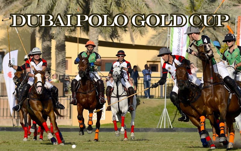 image of Dubai Polo Gold Cup Series (Gold Cup) 2015 Dubai